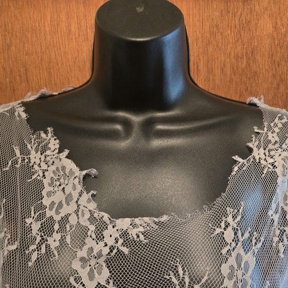 Sheer gray lace long sleeved dress by Cloe szM no designer tags - Picture 5 of 9